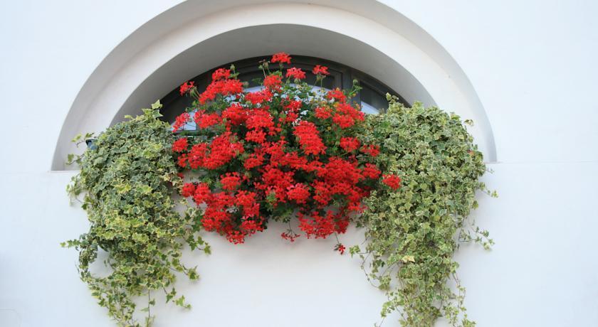 Al Bagolaro Bed & Breakfast Crocetta del Montello Dış mekan fotoğraf
