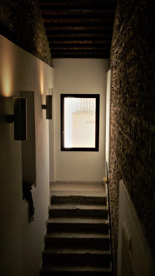Al Bagolaro Bed & Breakfast Crocetta del Montello Dış mekan fotoğraf