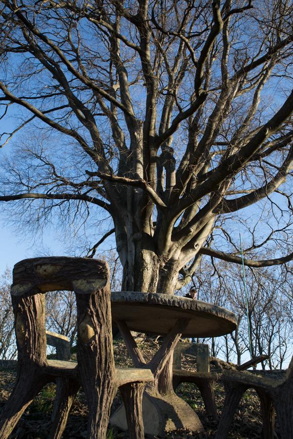 Al Bagolaro Bed & Breakfast Crocetta del Montello Dış mekan fotoğraf