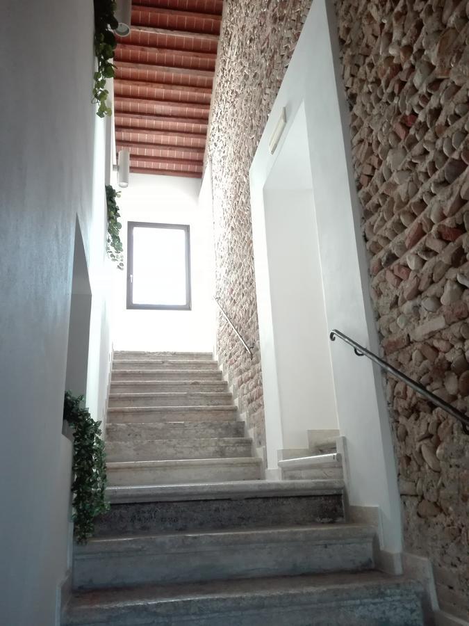 Al Bagolaro Bed & Breakfast Crocetta del Montello Dış mekan fotoğraf