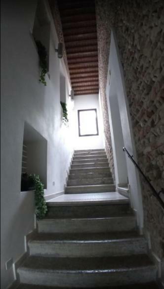 Al Bagolaro Bed & Breakfast Crocetta del Montello Dış mekan fotoğraf